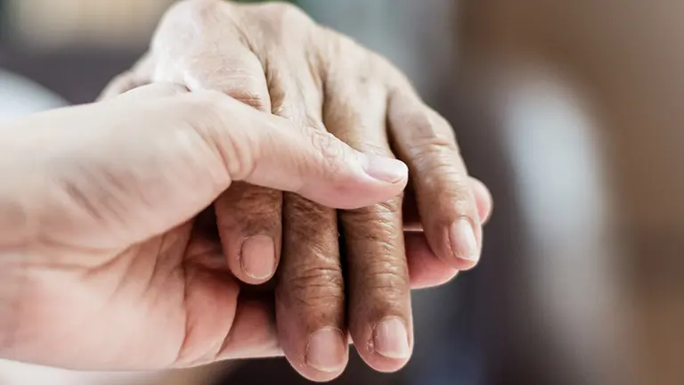  Healthy Diets for Seniors