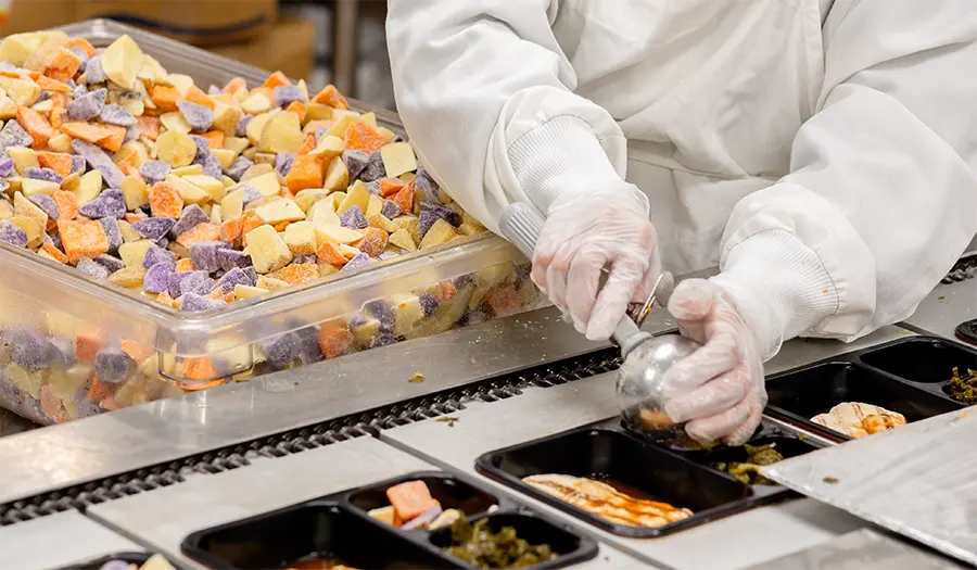 Empowering Senior Wellness Through Personalized Nutrition